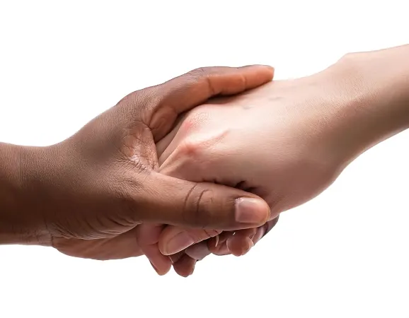 Cazino Platinum Play Cazinou Suport